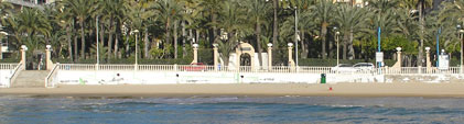 Palmeral aan Playa los Locos - Torrevieja (Alicante)